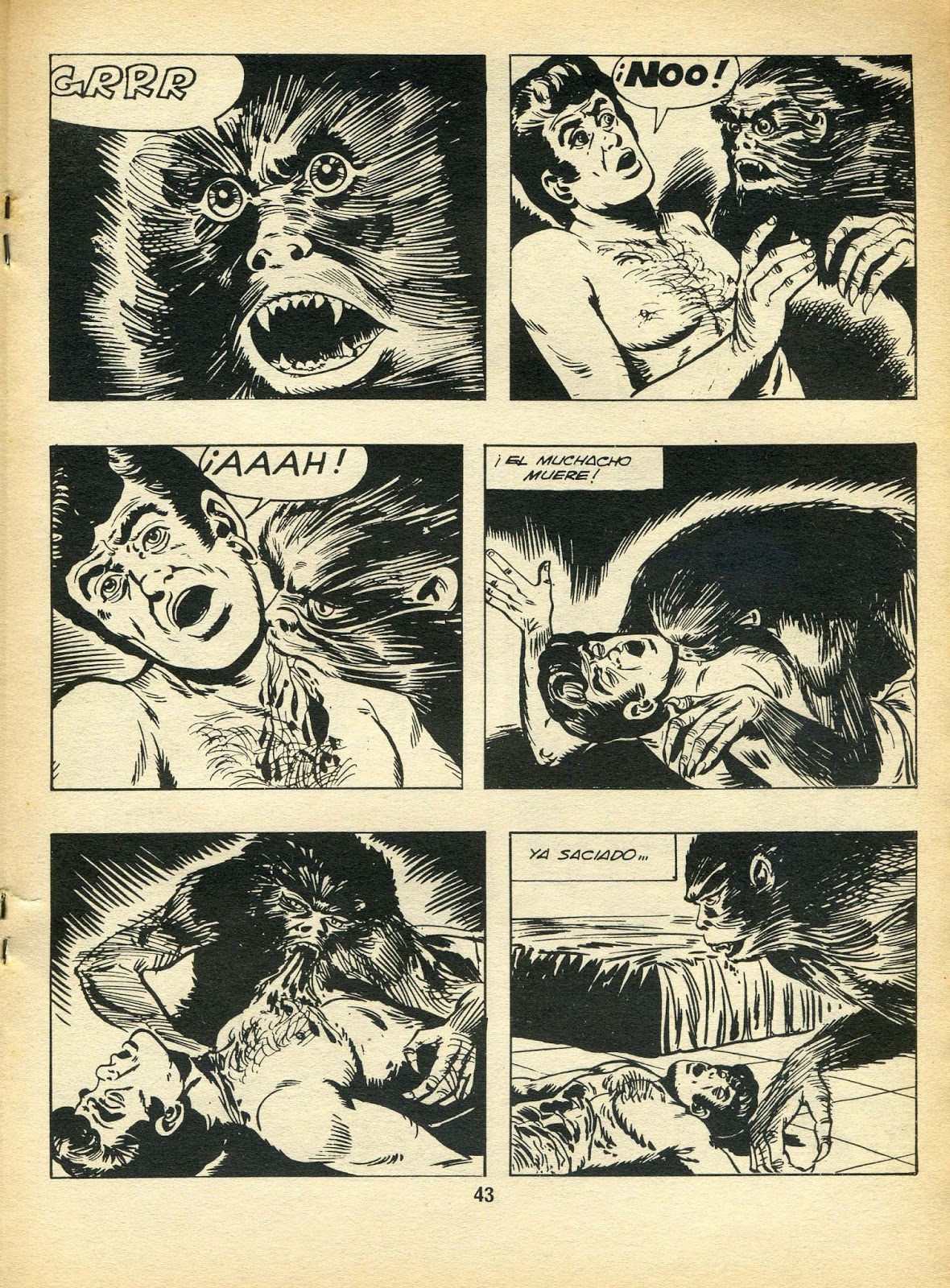 gay hotel lake como gay werewolf comics